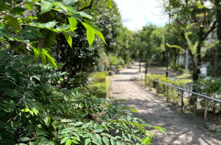 石神井川緑道