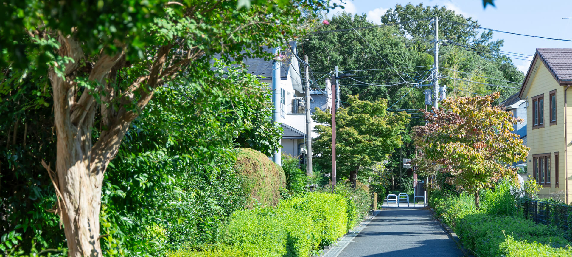 相模緑道緑地