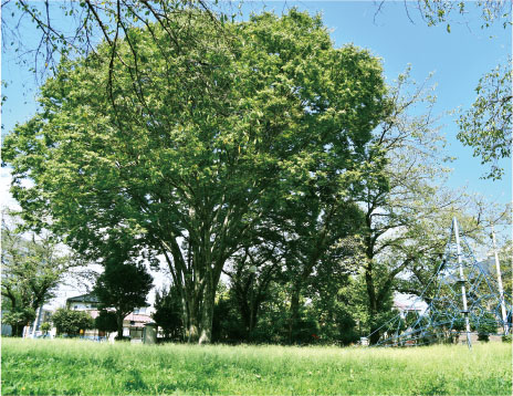 今泉2号児童公園