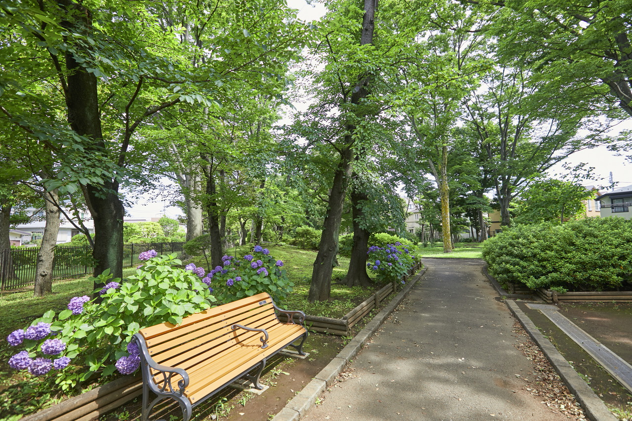 駒沢緑泉公園