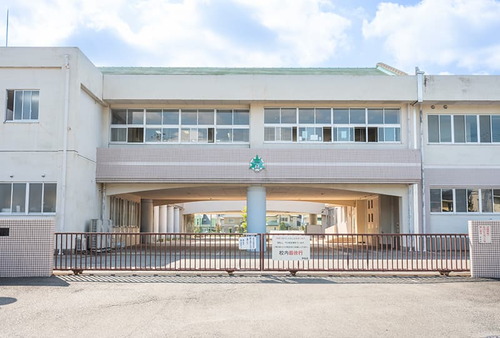 緑小学校