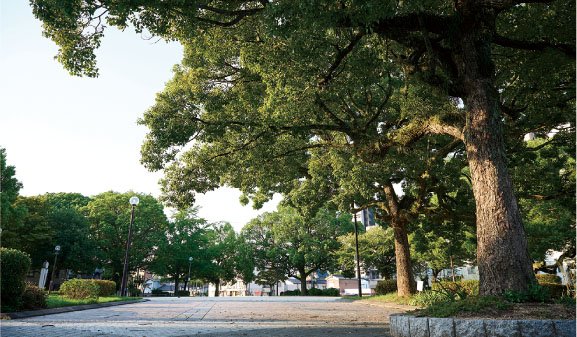 晴海公園
