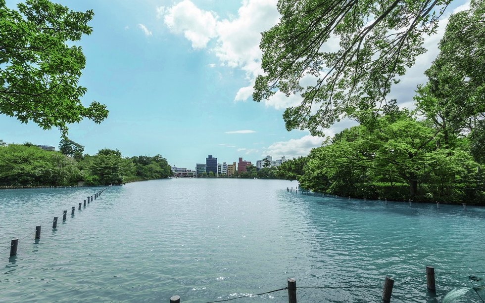 洗足池公園