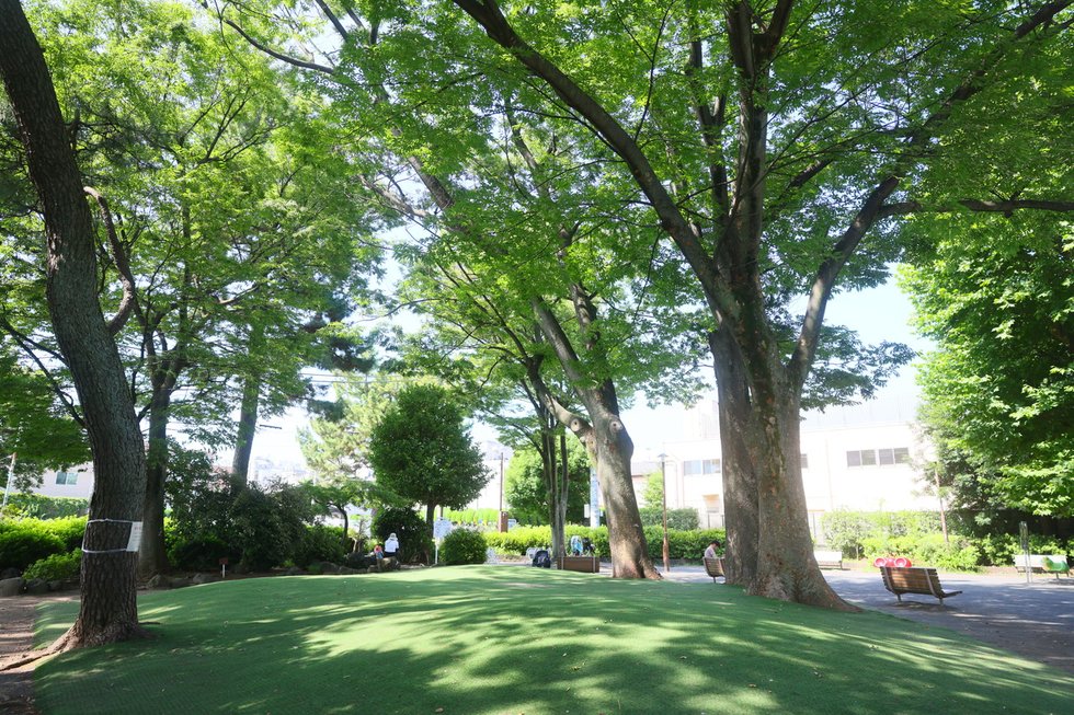 世田谷新町公園