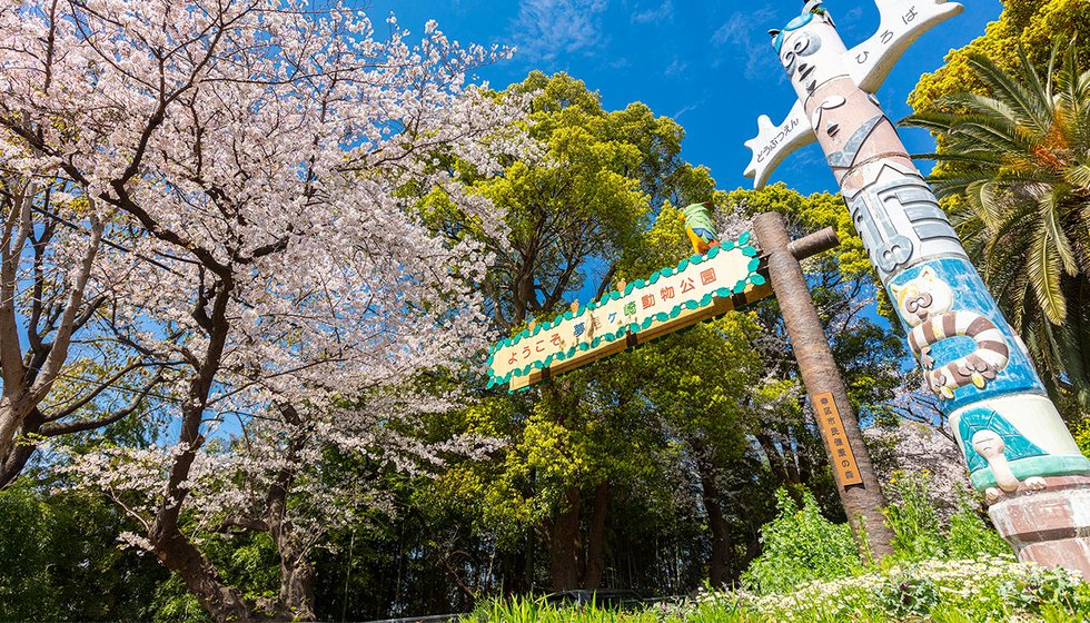 夢見ヶ崎動物公園