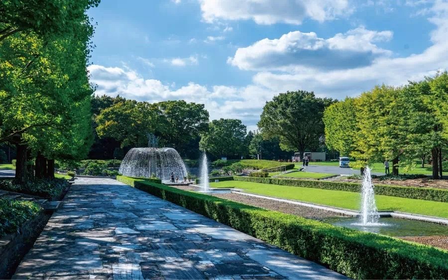 国営昭和記念公園
