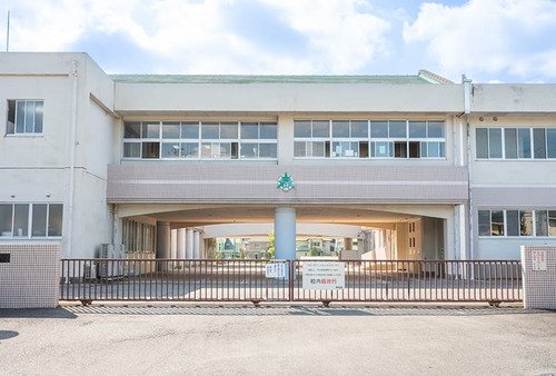 緑小学校