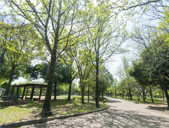 市立まなび中央公園