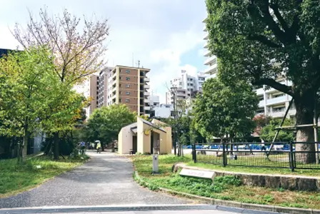 六本松公園