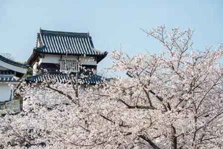 舞鶴公園