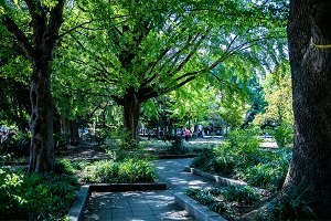 上野恩賜公園