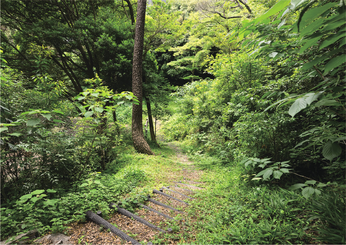 旭ヶ丘公園