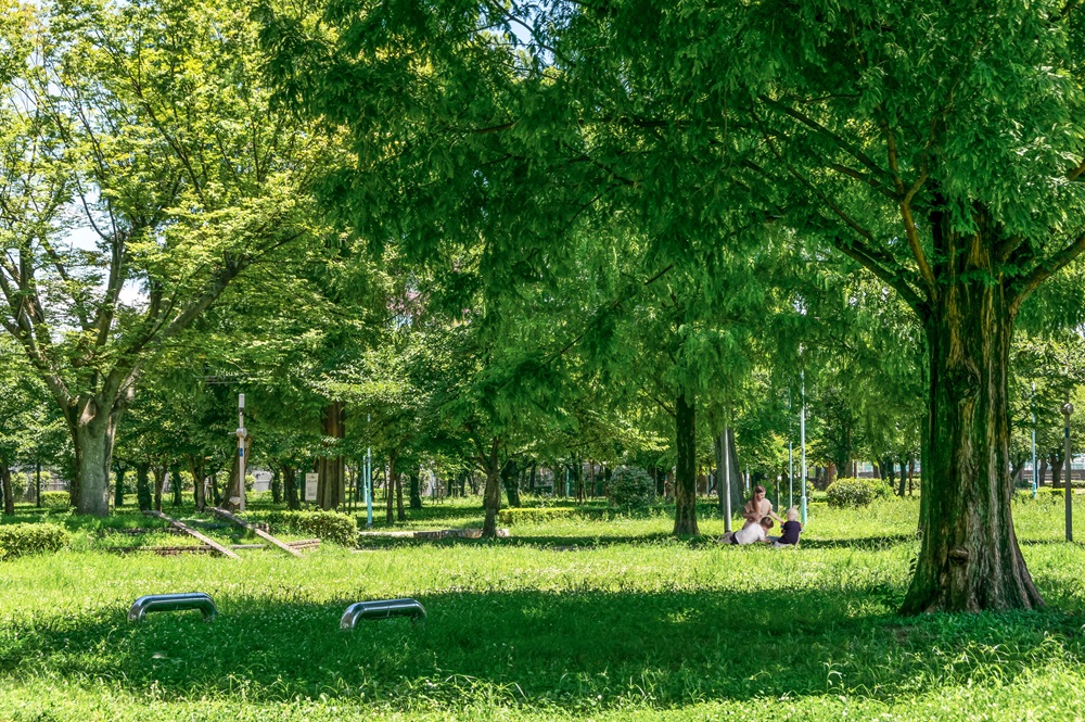 城北公園