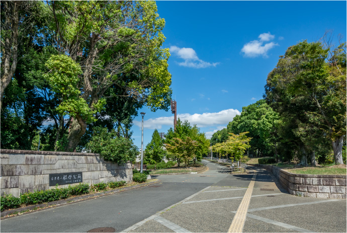 県立橿原公苑