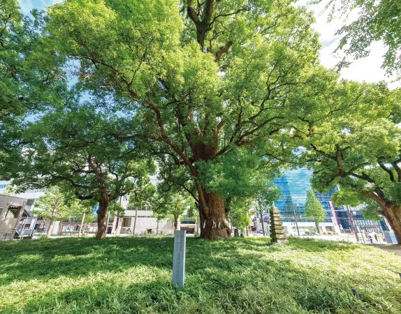 花畑公園