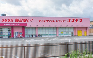ディスカウントドラッグコスモス 的場店