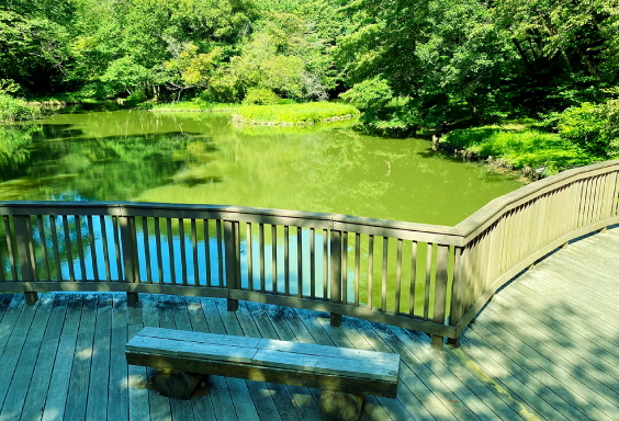県立座間谷戸山公園