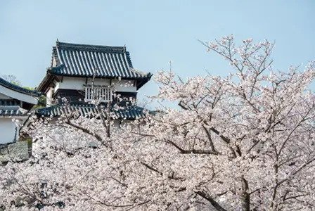 舞鶴公園
