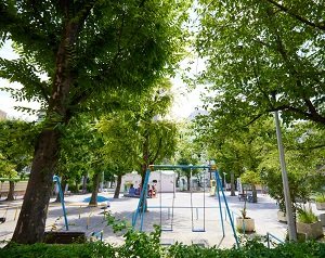 金杉公園