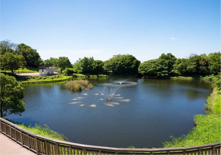 中央公園