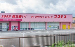 ディスカウントドラッグコスモス 的場店