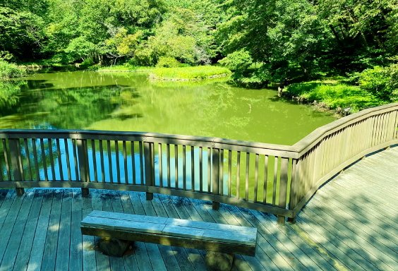 県立座間谷戸山公園