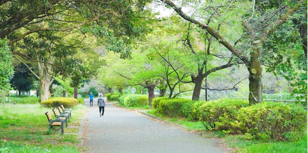 善福寺川緑地