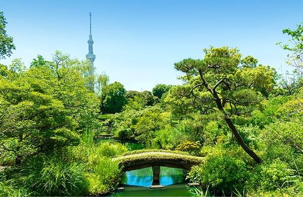 向島百花園