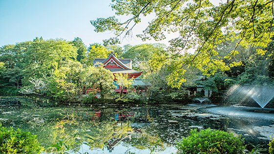 井の頭恩賜公園