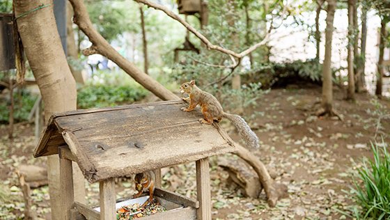 井の頭自然文化園