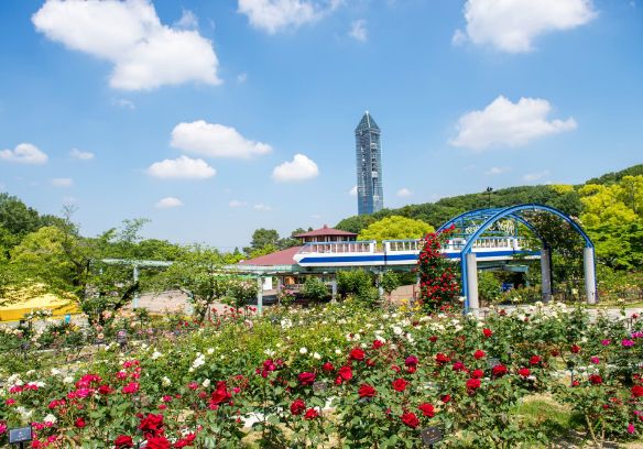 東山動植物園
