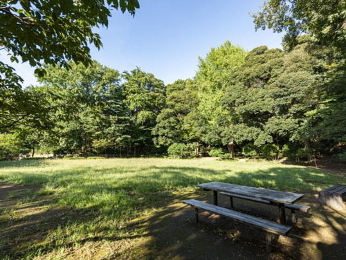 田園調布せせらぎ公園