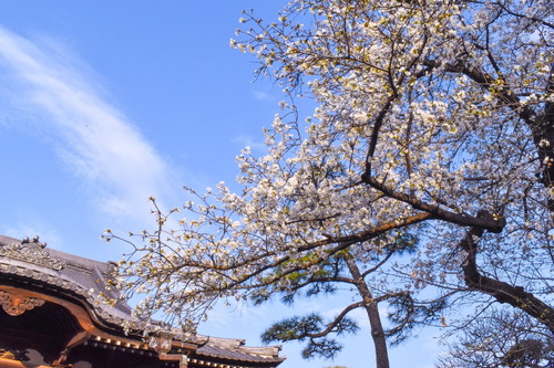 密蔵院