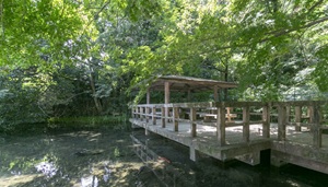 黒川清流公園