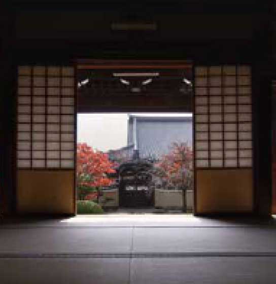 妙顯寺