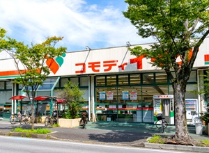 コモディイイダ 新松戸店