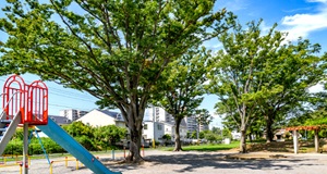 あかしあ公園