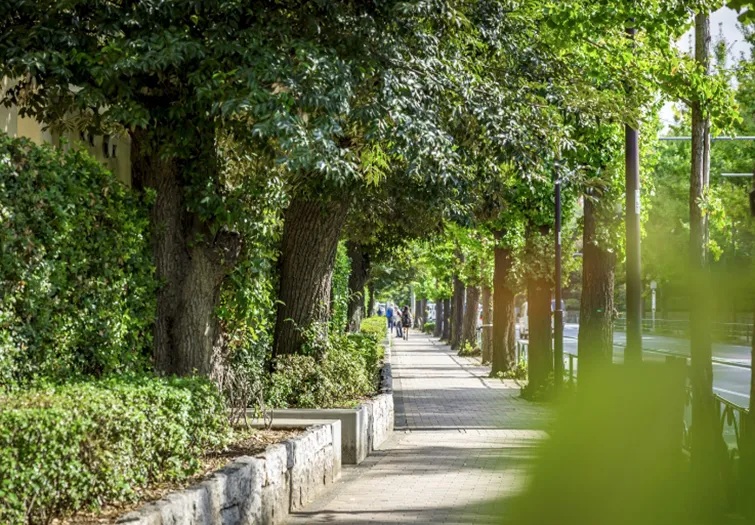 学習院大学
