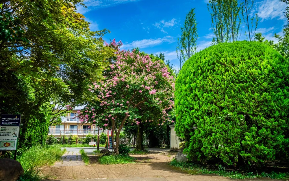 等々力七丁目公園
