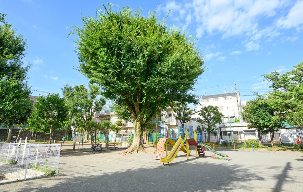 深沢公園