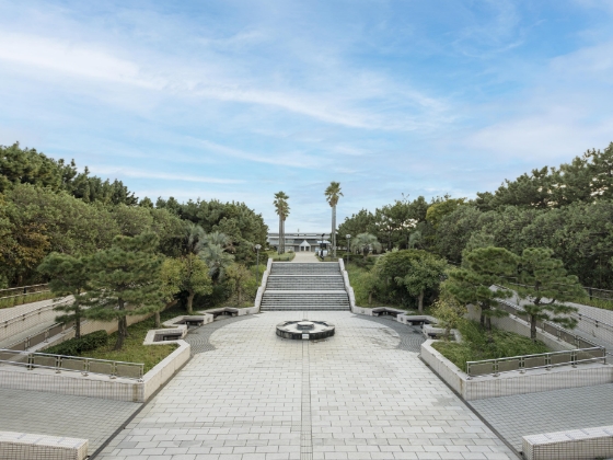 湘南海岸公園