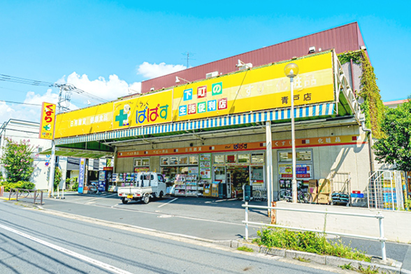 どらっぐぱぱす 青戸店