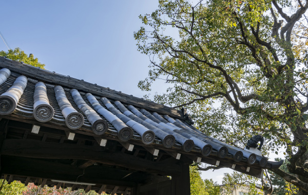 井於神社