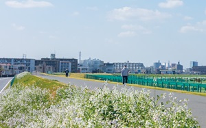 多摩川