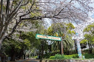 夢見ヶ崎動物公園
