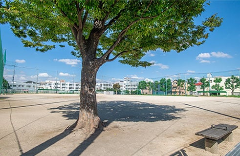 東小松川スポーツ公園