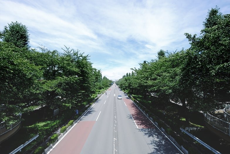 大学通り