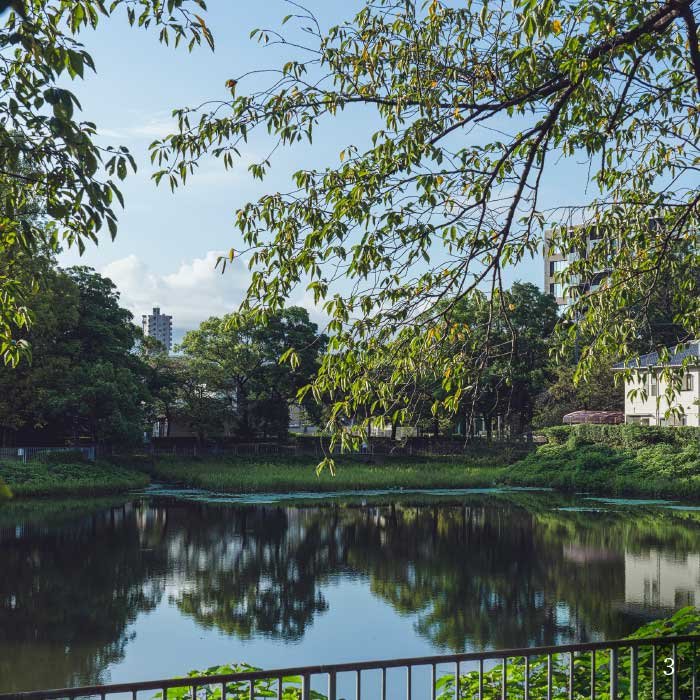 隼人池公園