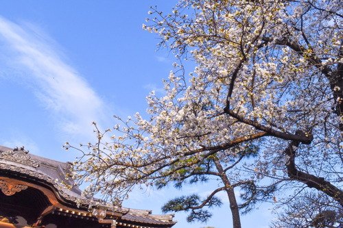 密蔵院