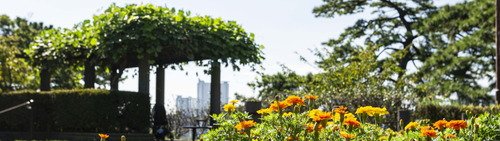 多摩川台公園